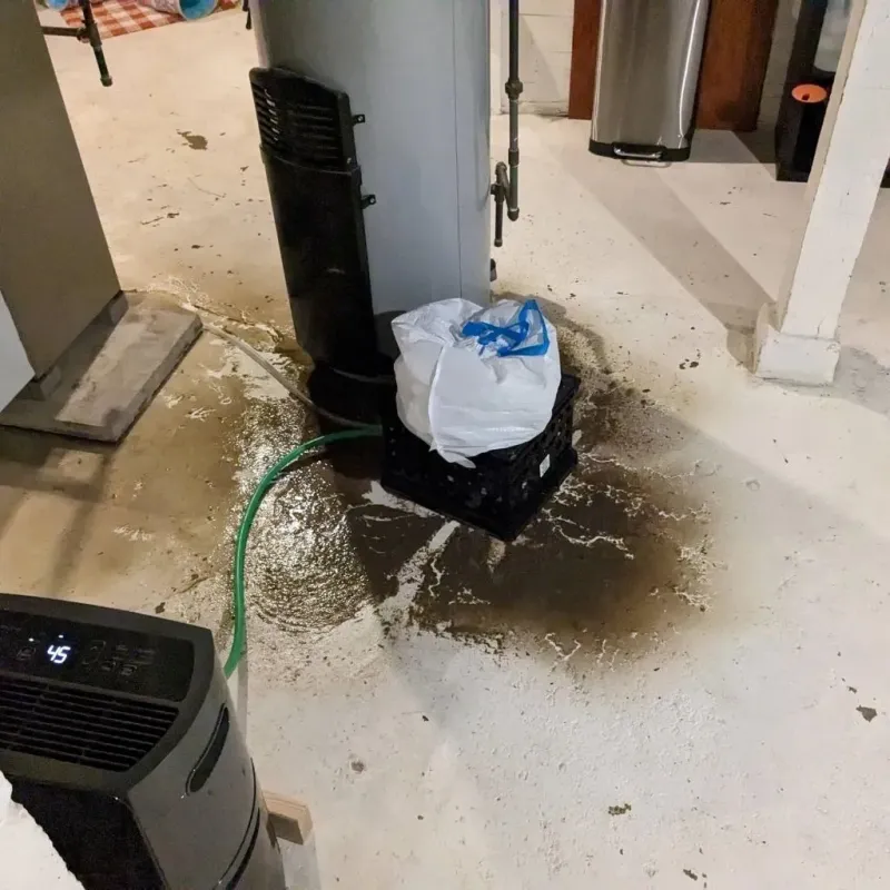 Sewage Backup Cleanup Service in Lewis County, NY